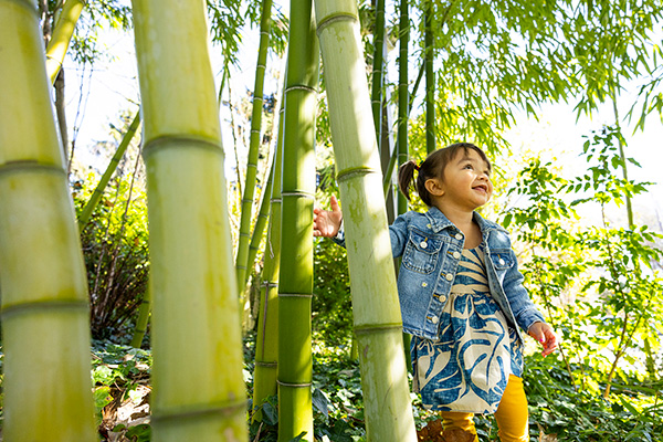 A little girl running through a bamboo forest