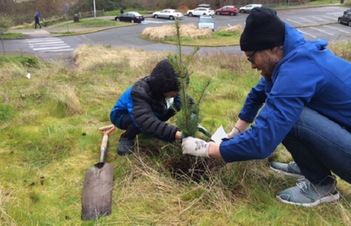 A father and son plant a tree.