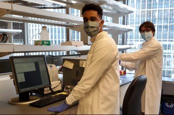 Members of the SEPS lab Edward Gniffke, and Stanford University undergraduate and summer intern, Kaleb Tsegay, use the newly developed assay to run an initial screen that could potentially identify drugs capable of preventing or treating COVID-19.