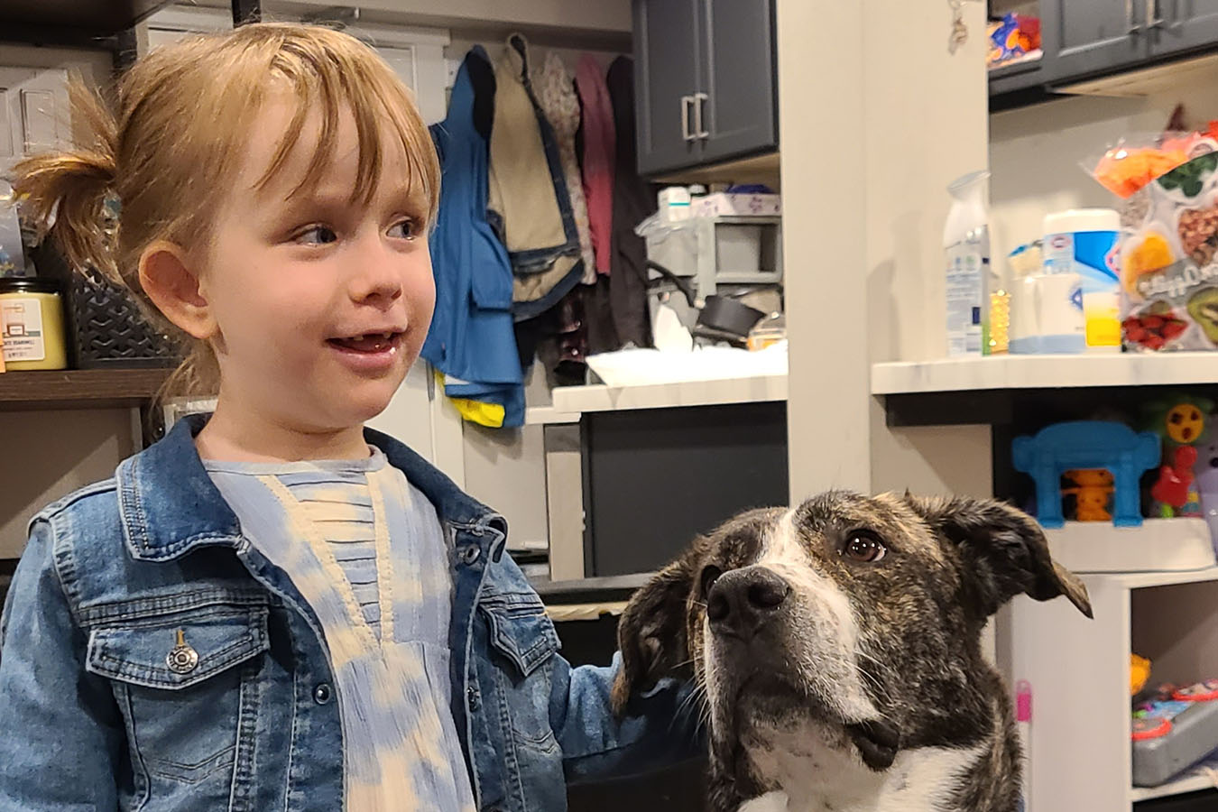 A young girl smiles as she pets her dog