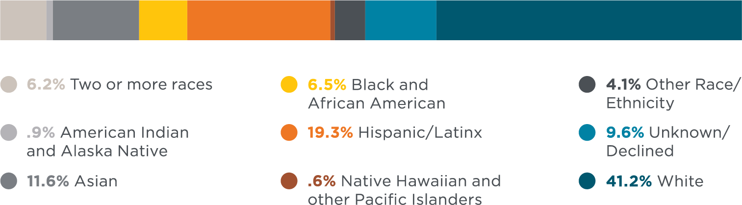 A bar chart shows demographic percentages for different racial and ethnic groups. The data is broken down as follows: 6.2% identify as Two or More Races, 0.9% as American Indian and Alaska Native, 11.6% as Asian, 6.5% as Black and African American, 19.3% as Hispanic/Latinx, 0.6% as Native Hawaiian and Other Pacific Islanders, 4.1% as Other Race/Ethnicity, 9.6% as Unknown/Declined, and 41.2% as White.