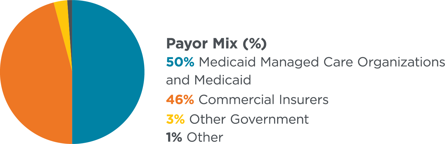 A pie chart illustrates the payor mix percentages. The breakdown is as follows: 50% Medicaid Managed Care Organizations and Medicaid, 46% Commercial Insurers, 3% Other Government, and 1% Other. The chart visually represents these categories with distinct color segments.