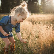 A girl picks flowers in a field