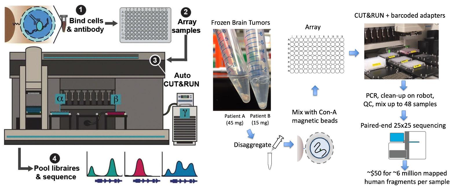 A diagram showing Sarthy Lab's epigenetic profiling tools