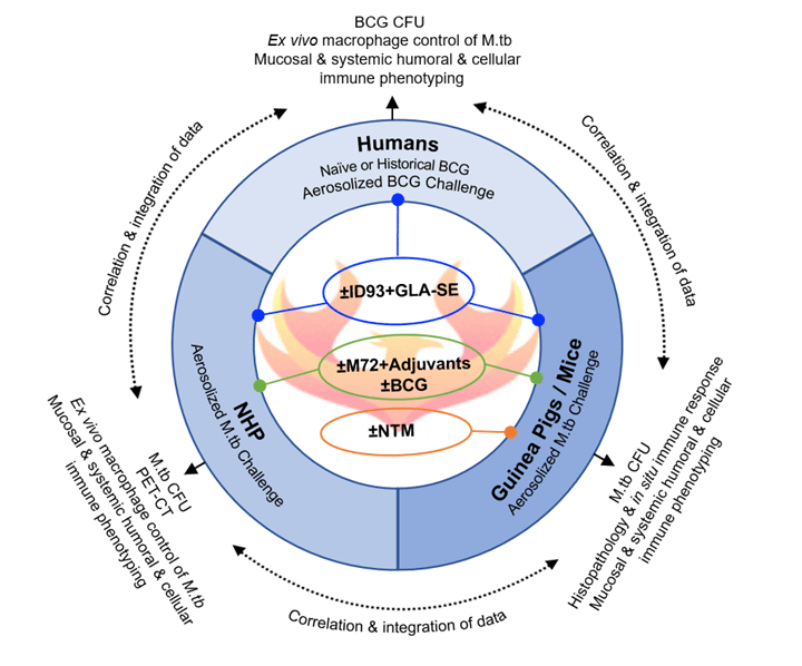 Infographic