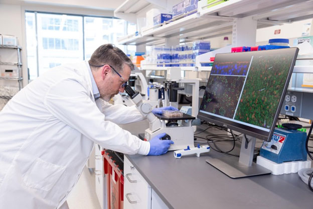 Seattle Children’s Jason Debley, a pediatric pulmonologist and the interim director of Center for Respiratory Biology and Therapeutics, observes airway epithelial cells from his lab’s large biorepository under microscopy