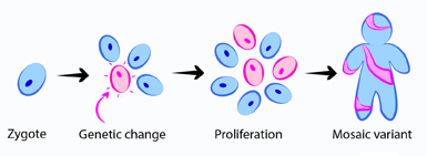 Mosaicism